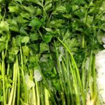 唐芹菜 Chinese Celery