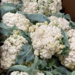 富貴花 Chinese Cauliflower