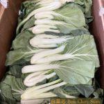 白菜芯 BokChoySum